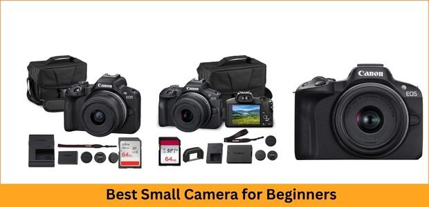 Best Small Camera for Beginners